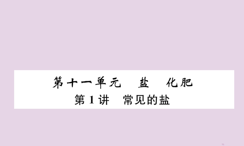 中考化学总复习 第1编 教材知识梳理 第11单元 盐 化肥 第1讲 常见的盐(精讲)课件