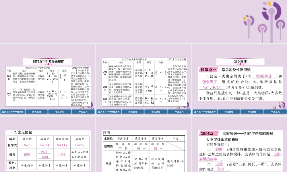 中考化学总复习 第1编 教材知识梳理 第11单元 盐 化肥 第1讲 常见的盐(精讲)课件