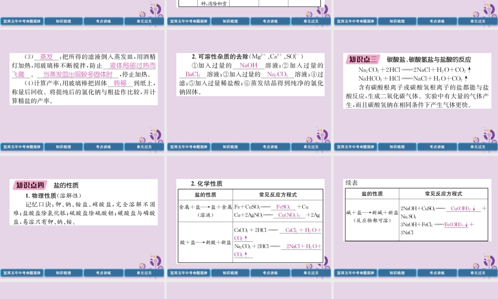 中考化学总复习 第1编 教材知识梳理 第11单元 盐 化肥 第1讲 常见的盐(精讲)课件