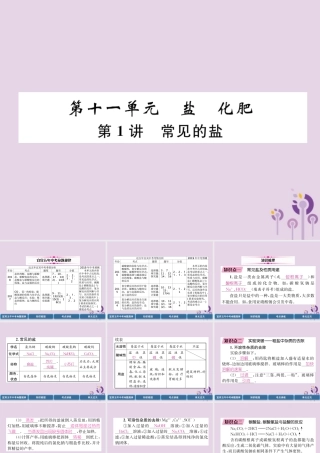 中考化学总复习 第1编 教材知识梳理 第11单元 盐 化肥 第1讲 常见的盐(精讲)课件