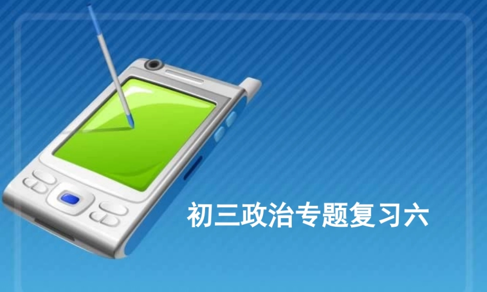 新课标初三政治专题复习六 课件