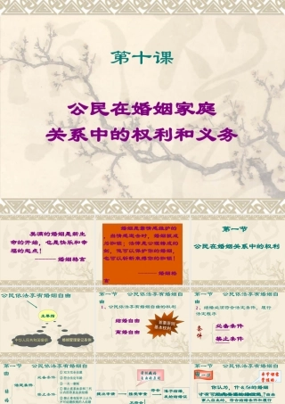 八年级政治 公民在婚姻家庭课件