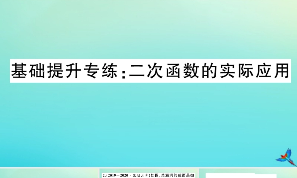 九年级数学上册 第21章 二次函数与反比例函数 基础提升专练：二次函数的实际应用作业课件 (新版)沪科版 课件