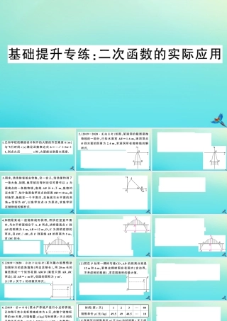 九年级数学上册 第21章 二次函数与反比例函数 基础提升专练：二次函数的实际应用作业课件 (新版)沪科版 课件