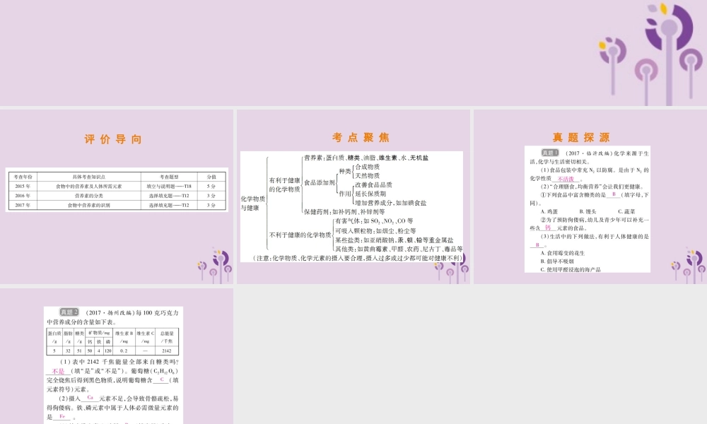 中考化学总复习 第二部分 专题提升 专题4 化学与社会发展 三 化学物质与健康课件