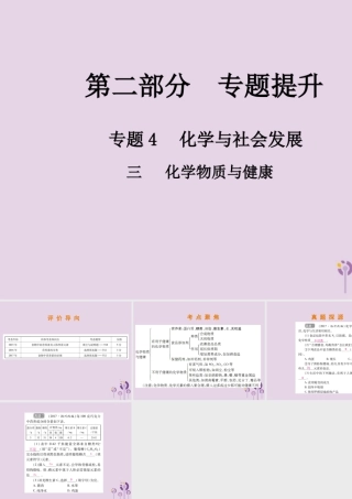 中考化学总复习 第二部分 专题提升 专题4 化学与社会发展 三 化学物质与健康课件