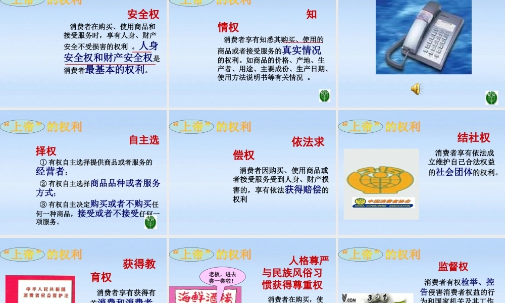 八年级政治下册 8.1(我们享有上帝的权利)课件 人教新课标版 课件