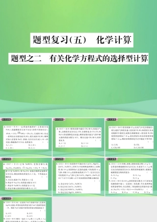 中考化学总复习 中考6大题型轻松搞定 题型复习(五)题型之二 有关化学方程式的选择型计算课件