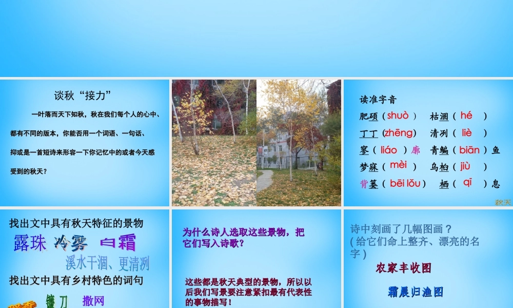 中学七年级语文上册(第14课 秋天)课件1 (新版)新人教版 课件