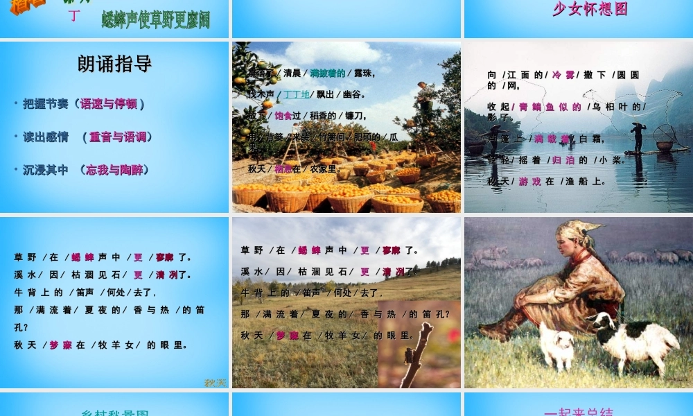 中学七年级语文上册(第14课 秋天)课件1 (新版)新人教版 课件