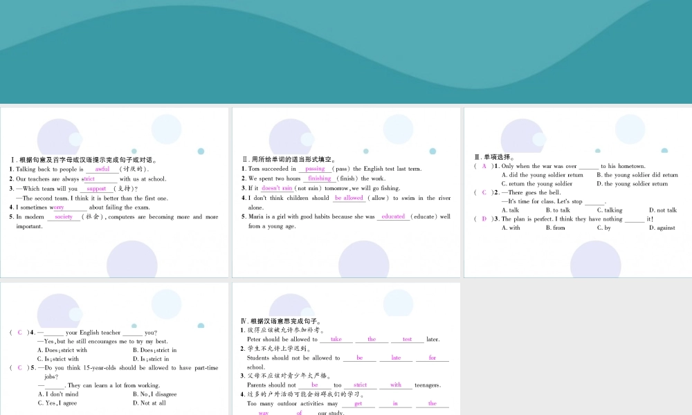 九年级英语全册 Unit 7 Teenagers should be allowed to choose their own clothes(第3课时)Section B1(1a 2e)习题课件 (新版)人教新目标版 课件