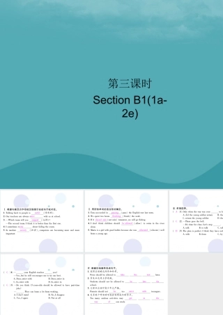九年级英语全册 Unit 7 Teenagers should be allowed to choose their own clothes(第3课时)Section B1(1a 2e)习题课件 (新版)人教新目标版 课件