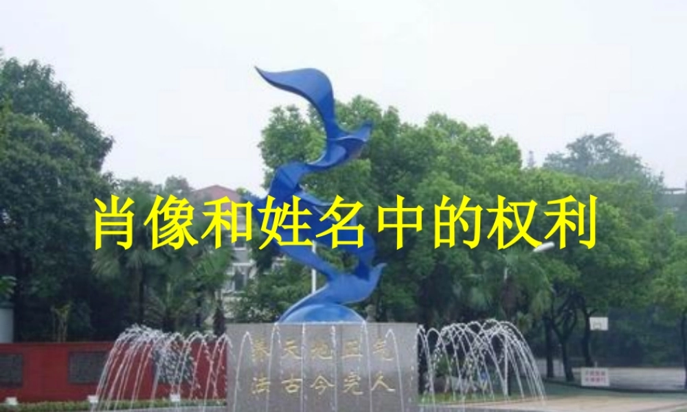 八年级政治上册 肖像和姓名中的权利 人教新课标版 课件