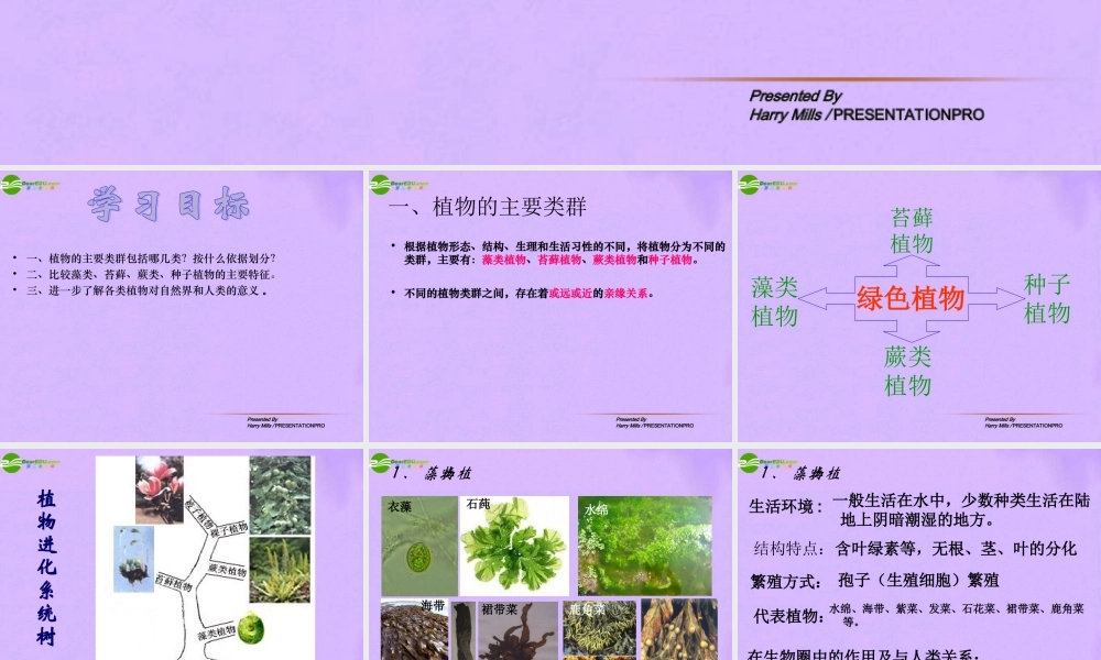 八年级生物下册 第二节 植物的主要类群 人教新课标版 课件