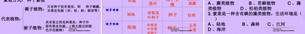 八年级生物下册 第二节 植物的主要类群 人教新课标版 课件