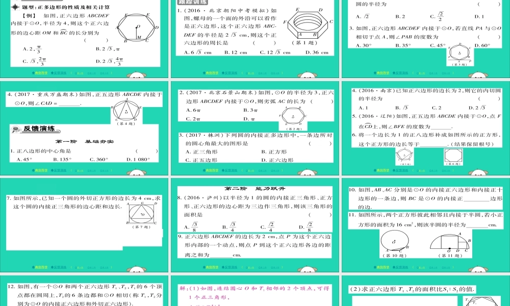 九年级数学下册 第27章(圆)274 正多边形和圆习题课件 (新版)华东师大版 课件