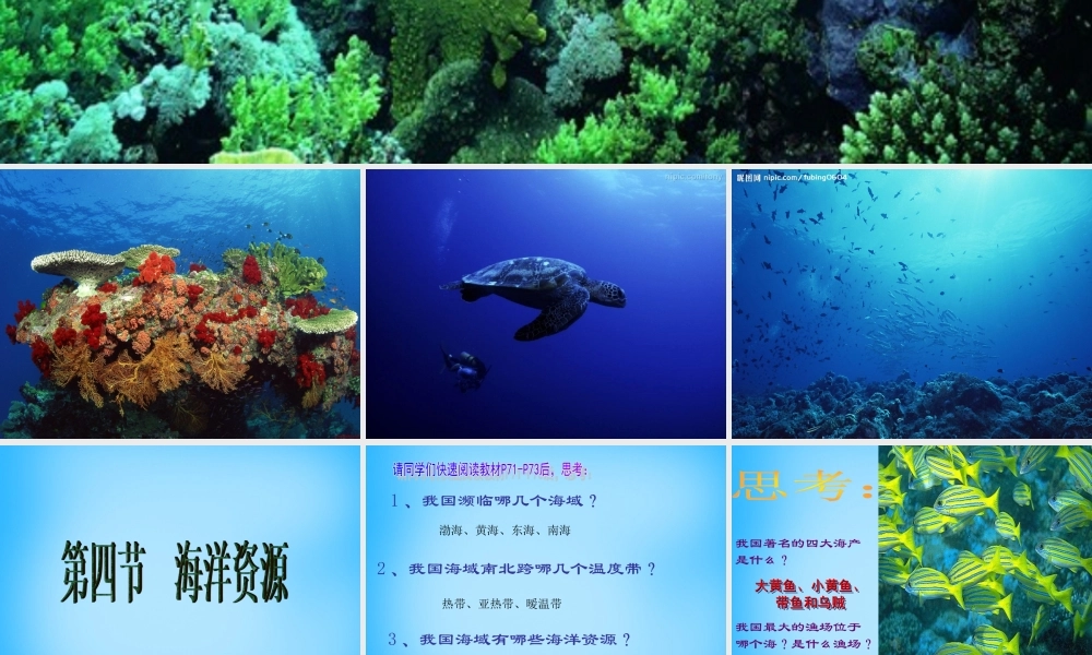 八年级地理上册 第三章 第四节 中国的海洋资源课件 湘教版 课件