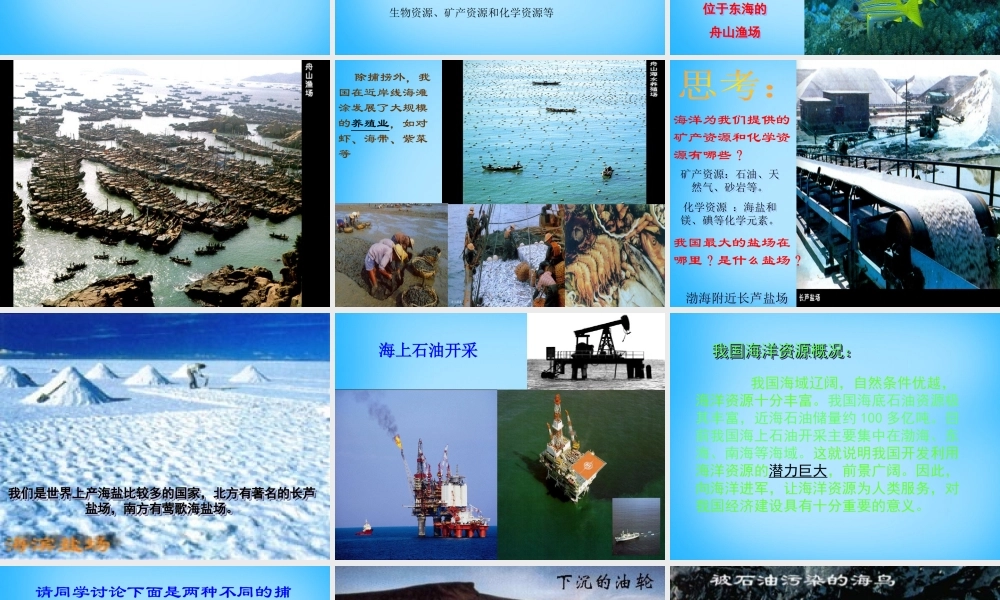 八年级地理上册 第三章 第四节 中国的海洋资源课件 湘教版 课件