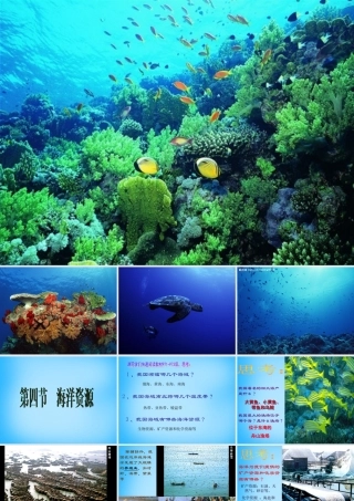 八年级地理上册 第三章 第四节 中国的海洋资源课件 湘教版 课件