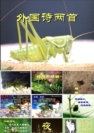 九年级语文上册 第4课 外国诗两首课件 (新版)新人教版 课件