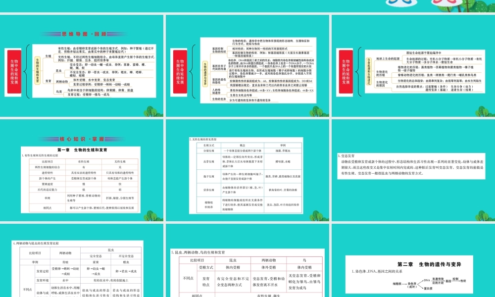 八年级生物下册 期末抢分必胜课 第一部分 主干知识速记 第七单元 生物圈中生命的延续和发展课件(新版)新人教版 课件