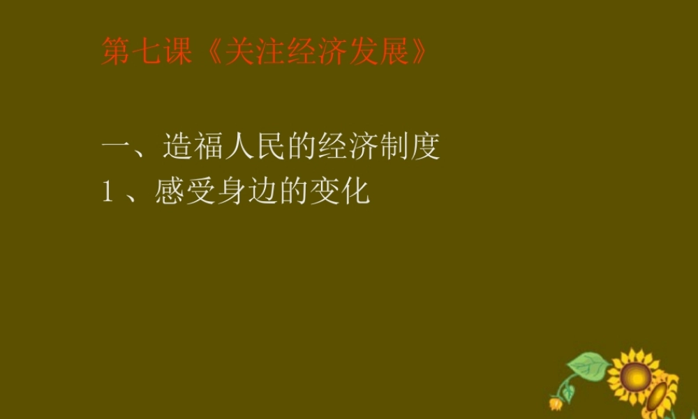 九年级政治造福人民的经济制度 课件