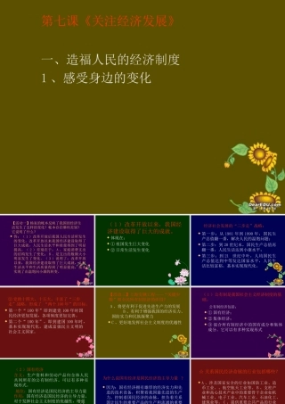 九年级政治造福人民的经济制度 课件