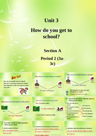 中学七年级英语下册 Unit 3 How do you get to school Period 2课件 (新版)人教新目标版 课件