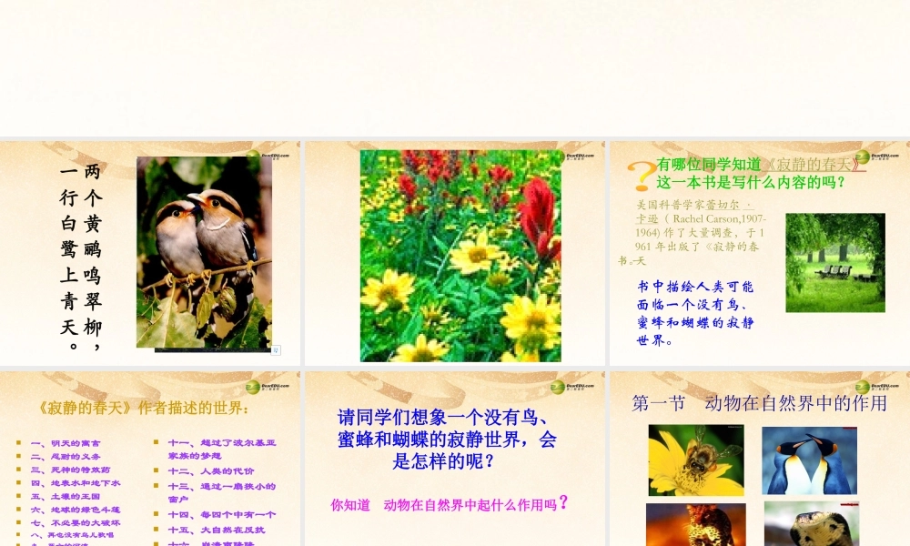 八年级生物上册(第五单元第三章 动物在生物圈中的作用 生物在自然界中的作用)课件 新人教版 课件