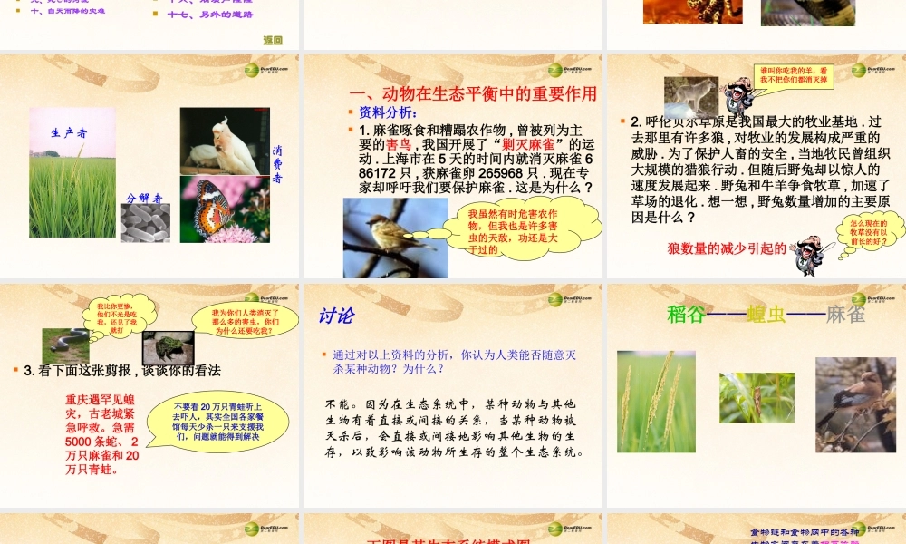 八年级生物上册(第五单元第三章 动物在生物圈中的作用 生物在自然界中的作用)课件 新人教版 课件