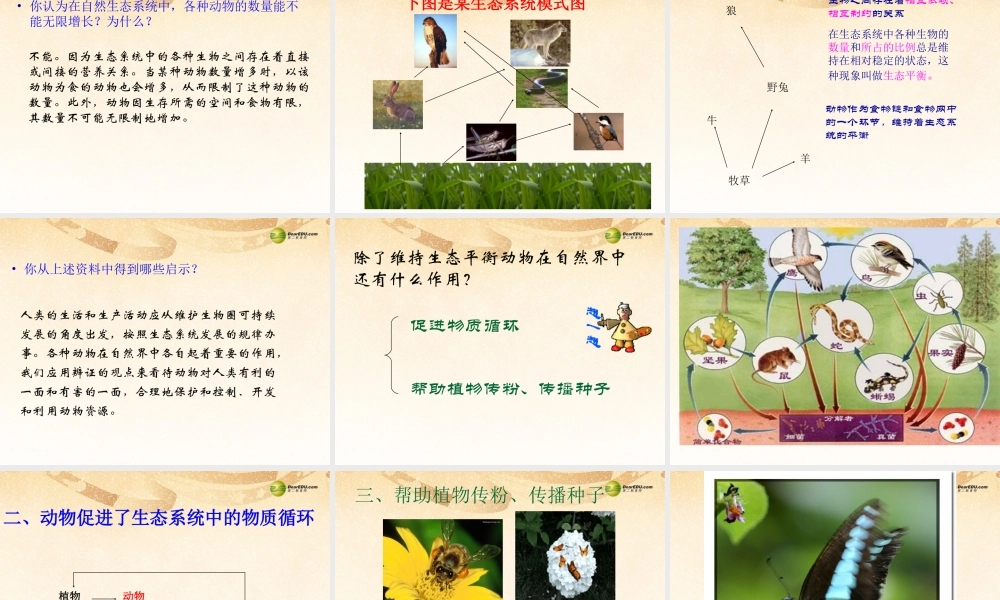 八年级生物上册(第五单元第三章 动物在生物圈中的作用 生物在自然界中的作用)课件 新人教版 课件