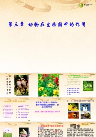 八年级生物上册(第五单元第三章 动物在生物圈中的作用 生物在自然界中的作用)课件 新人教版 课件