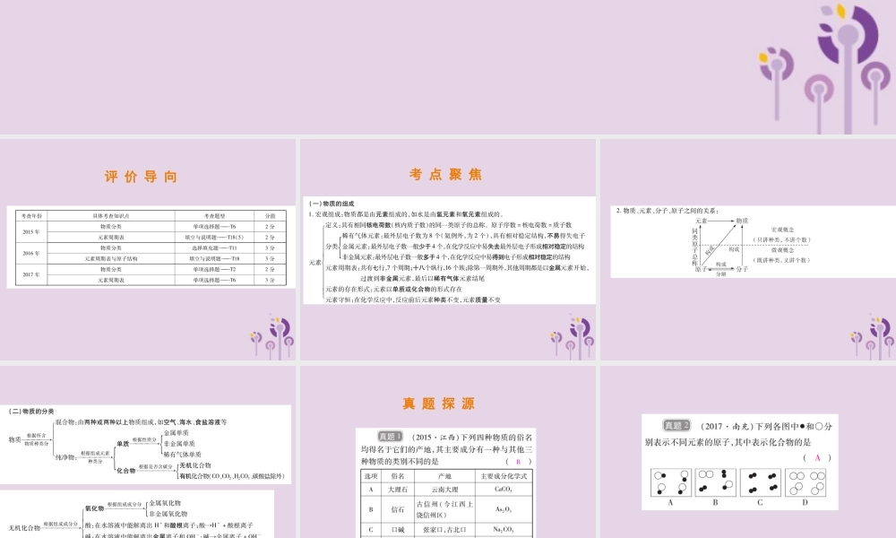 中考化学总复习 第二部分 专题提升 专题1 物质构成的奥秘 二 物质的组成和分类课件