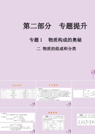 中考化学总复习 第二部分 专题提升 专题1 物质构成的奥秘 二 物质的组成和分类课件