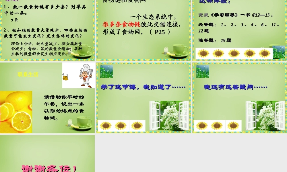 七年级生物上册 1.2.2 生物与环境组成生态系统课件3 (新版)新人教版 课件