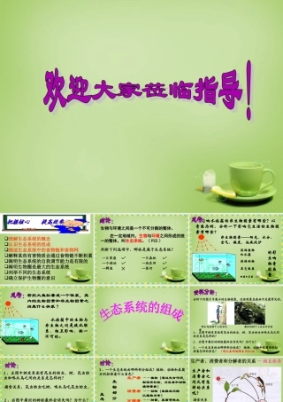 七年级生物上册 1.2.2 生物与环境组成生态系统课件3 (新版)新人教版 课件
