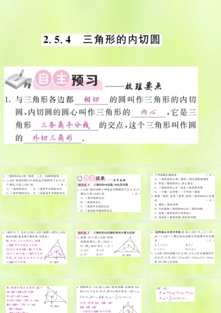 九年级数学下册 第2章 圆 25 直线与圆的位置关系 254 三角形的内切圆习题课件 (新版)湘教版 课件