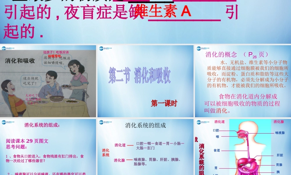 中学七年级生物下册 第二章 第二节 消化和吸收课件 (新版)新人教版