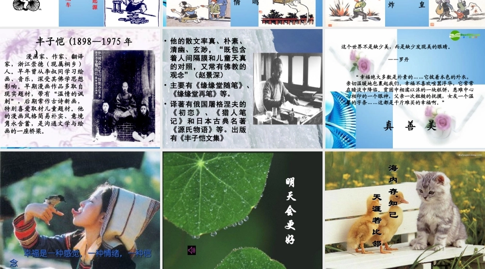 八年级语文下册(杨柳)课件 苏教版 课件