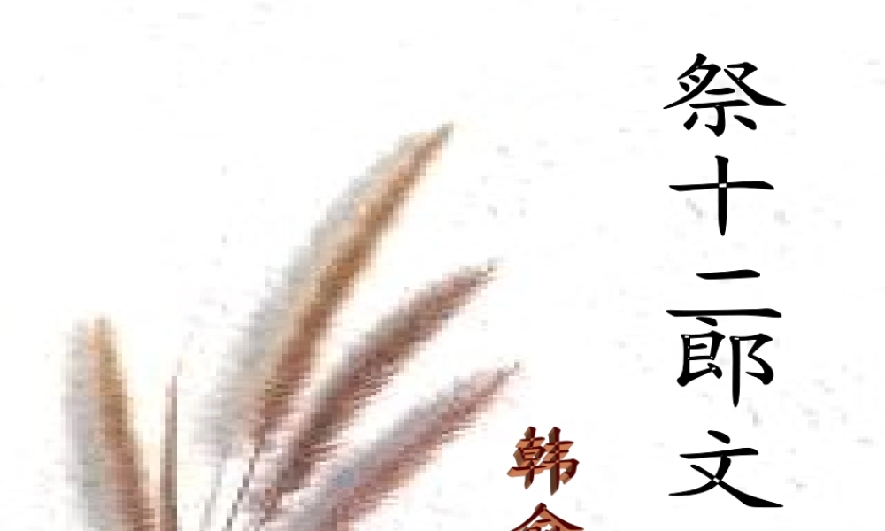 人教版高二语文祭十二郎文 课件