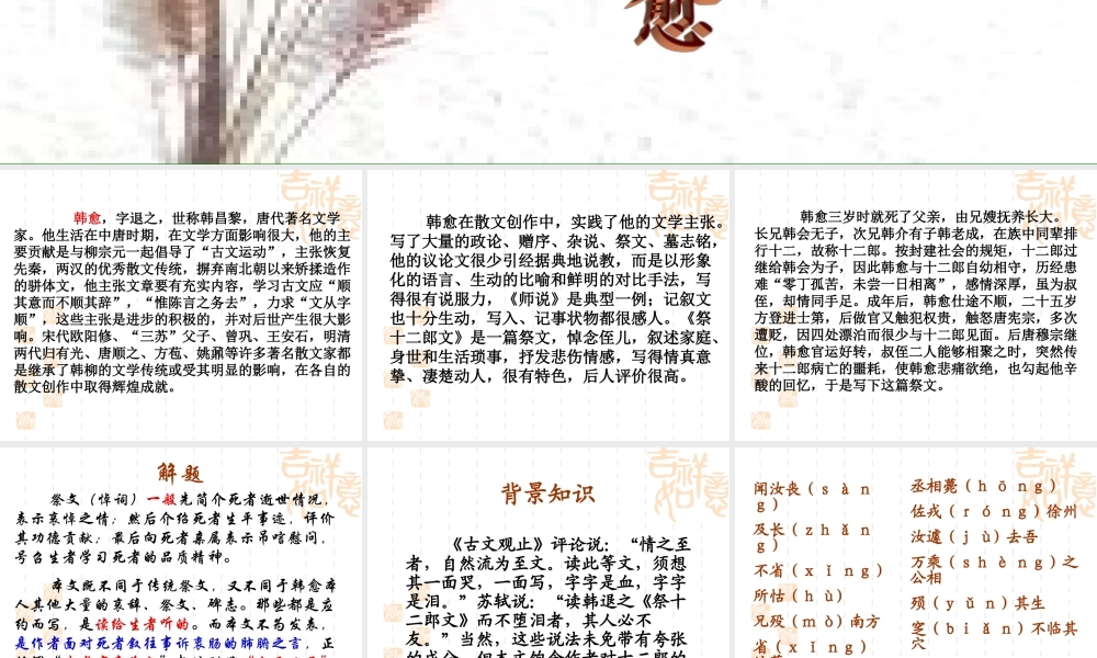 人教版高二语文祭十二郎文 课件