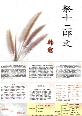 人教版高二语文祭十二郎文 课件