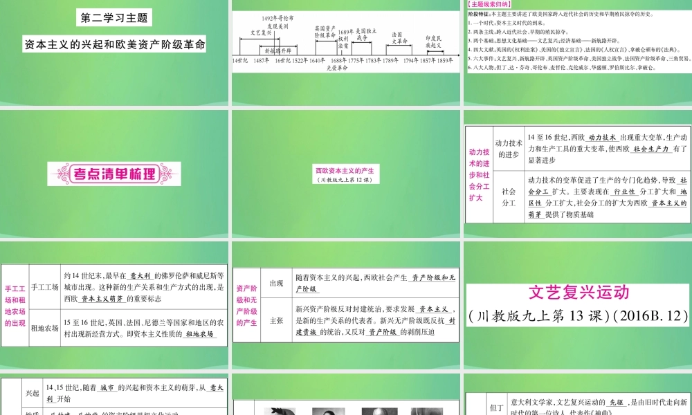 中考历史复习 第一篇 教材系统复习 4 世界古、近代史 第二学习主题 资本主义的兴起和欧美资产阶九年级革命讲解课件