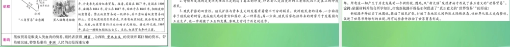 中考历史复习 第一篇 教材系统复习 4 世界古、近代史 第二学习主题 资本主义的兴起和欧美资产阶九年级革命讲解课件