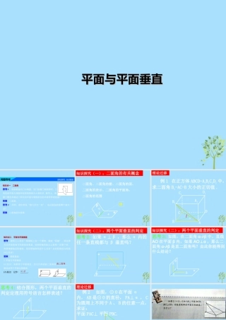山西省忻州市高考数学 专题 平面与平面垂直复习课件