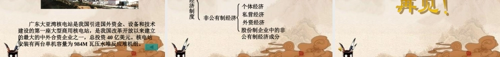 九年级思想品德 多种所有制经济共同发展课件 苏人版 课件