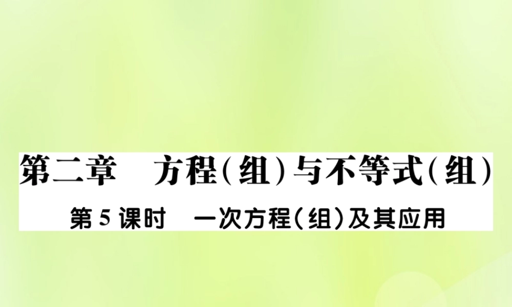 中考数学总复习 第一部分 考点梳理 第二章 方程(组)与不等式(组)第5课时 一次方程(组)及其应用课件