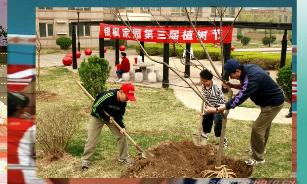 九年级政治全册 第二单元 合作诚信 第4课 学会合作 第1框 生活处处有合作课件 苏教版 课件