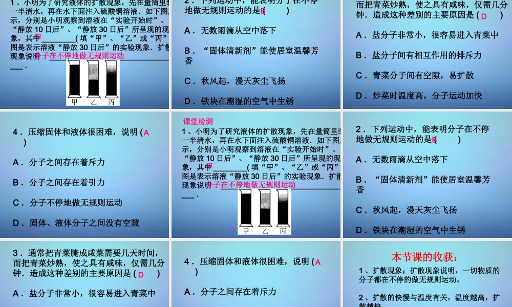 九年级物理全册 131 分子的热运动课件 (新版)新人教版 课件