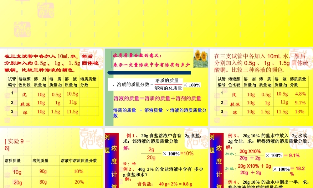 初三化学溶质的质量分数课件